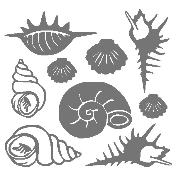 Трафарет ракушки для стен