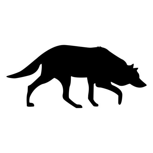 Силуэт волка на белом фоне