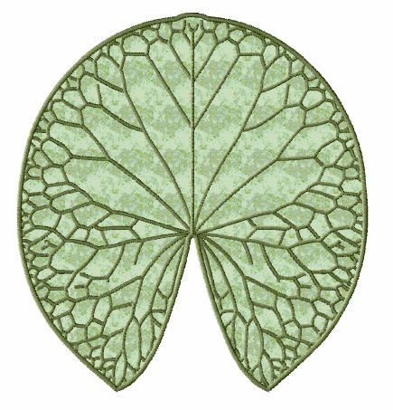 Листок кувшинки