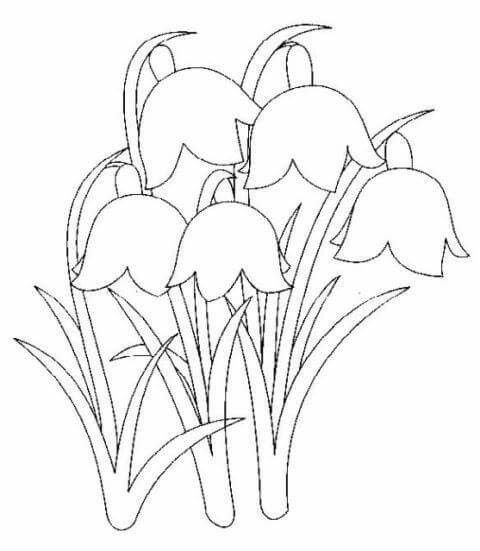 Подснежники раскраска для детей