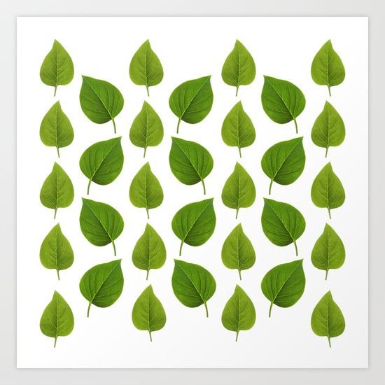 Зелёные листочки для украшения комнаты