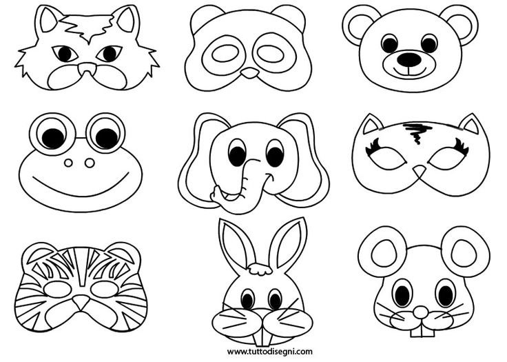 Мордочки животных