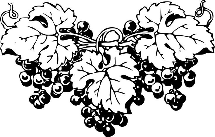 Виноградная лоза орнамент Грузии Ермолова