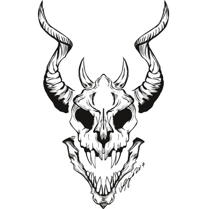 Череп дракона анфас