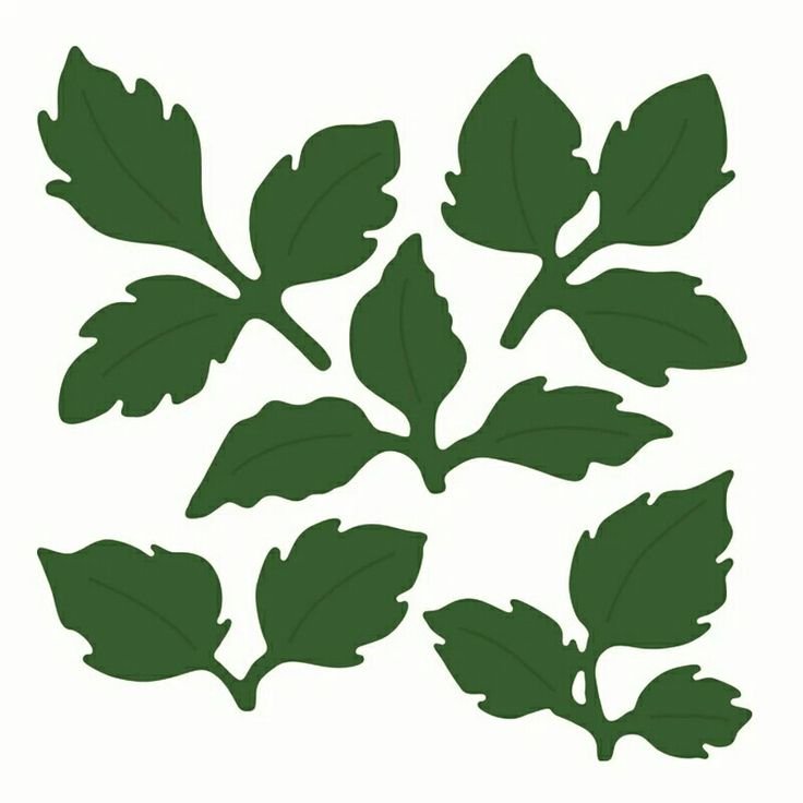 Зеленые листья для вырезания