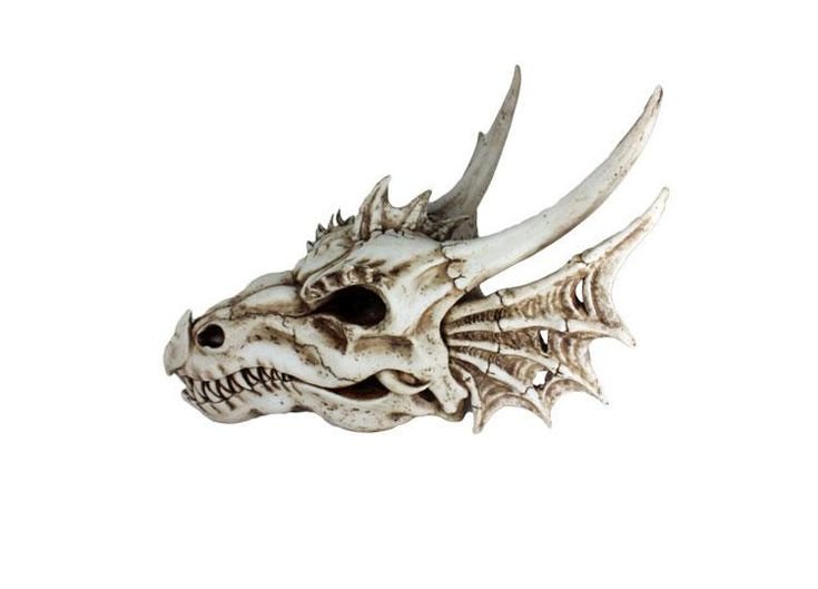 Скелет дракона