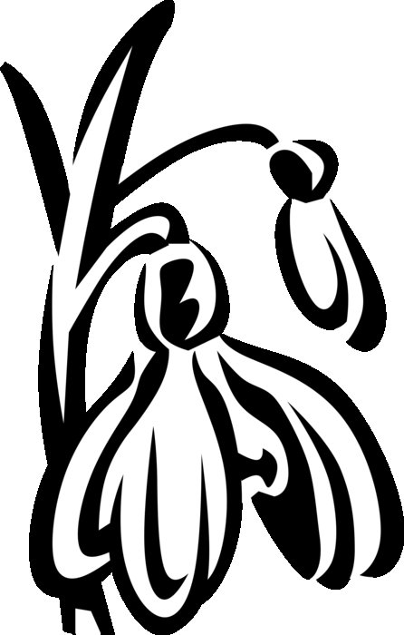 Подснежники трафареты для вырезания