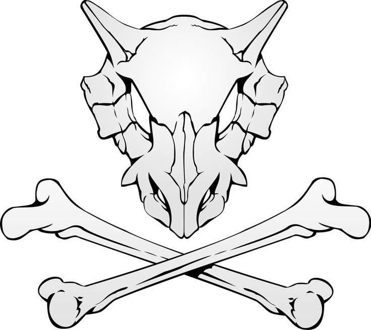 Зарисовка череп дракона