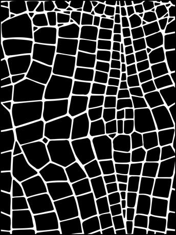 Трафарет кожа рептилии