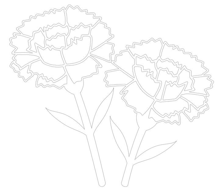 Вытынанка гвоздика