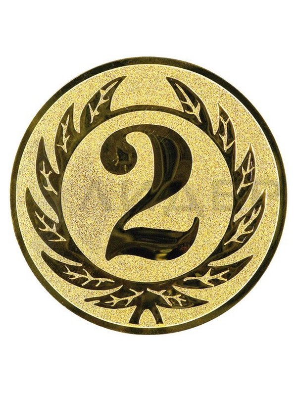Вкладыш для медали 2 место