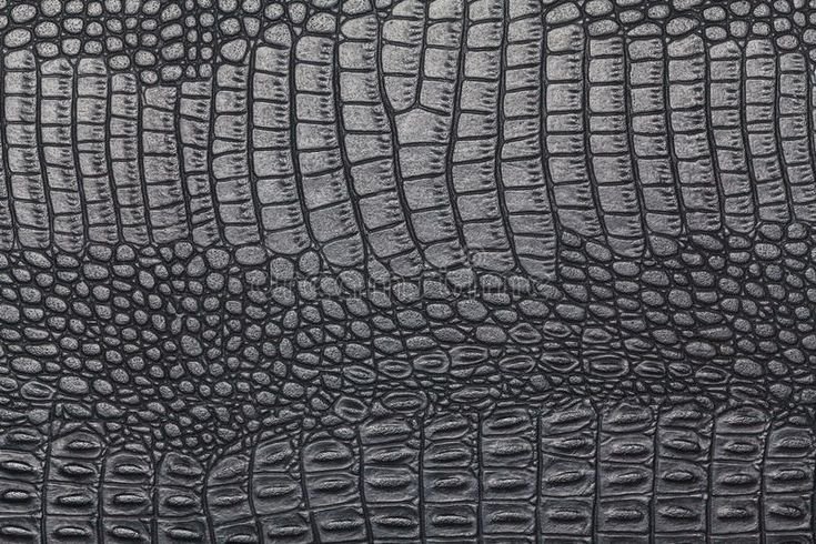 Кожа аллигатора текстура