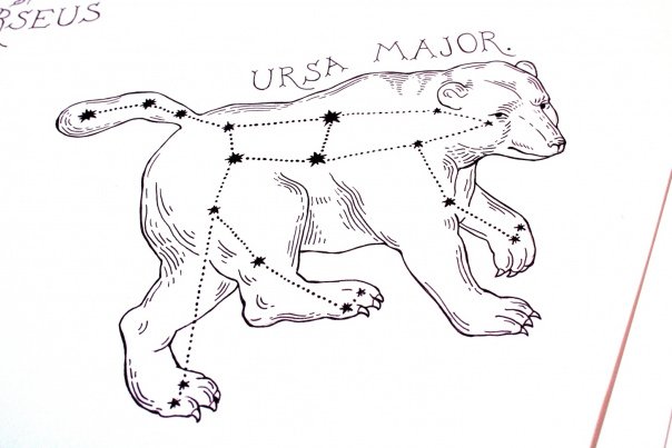 Созвездие большой медведицы раскраска для детей