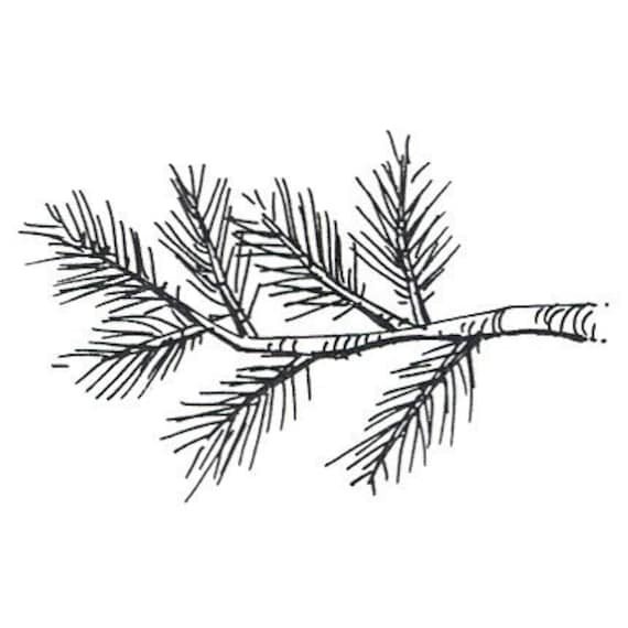 Ветка для раскрашивания