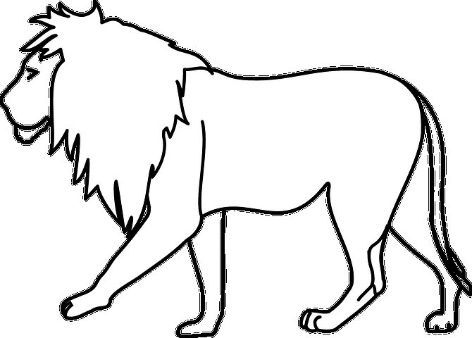 Контуры животных