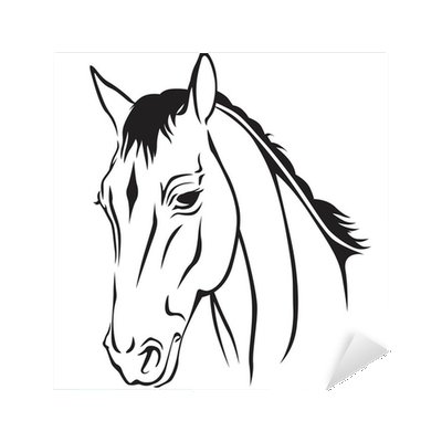 Контур морды лошади в профиль