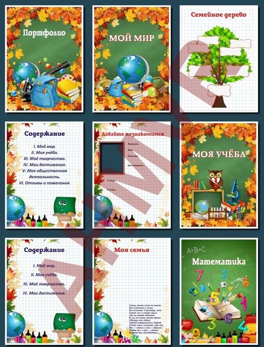 Портфолио ученика начального класса