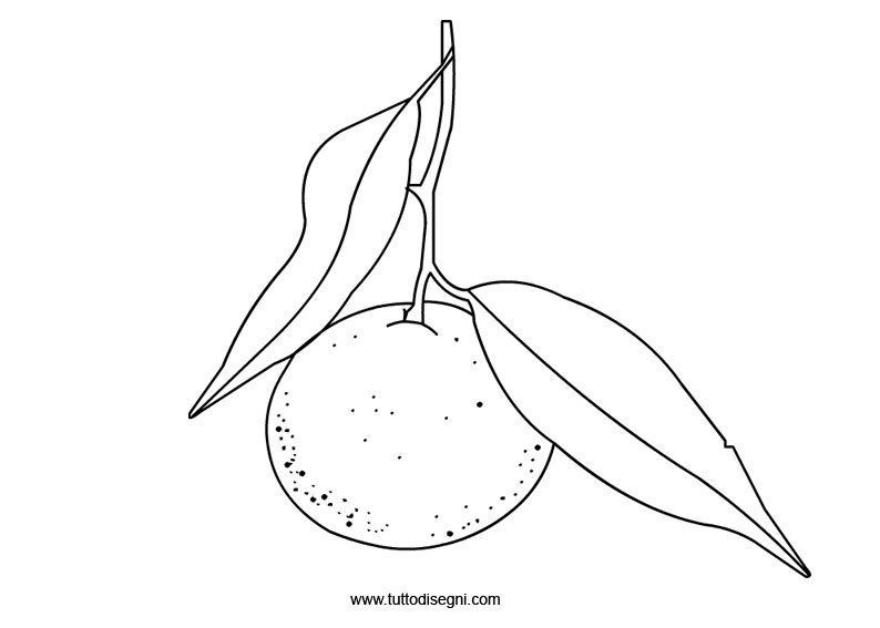 Мандарины с листом