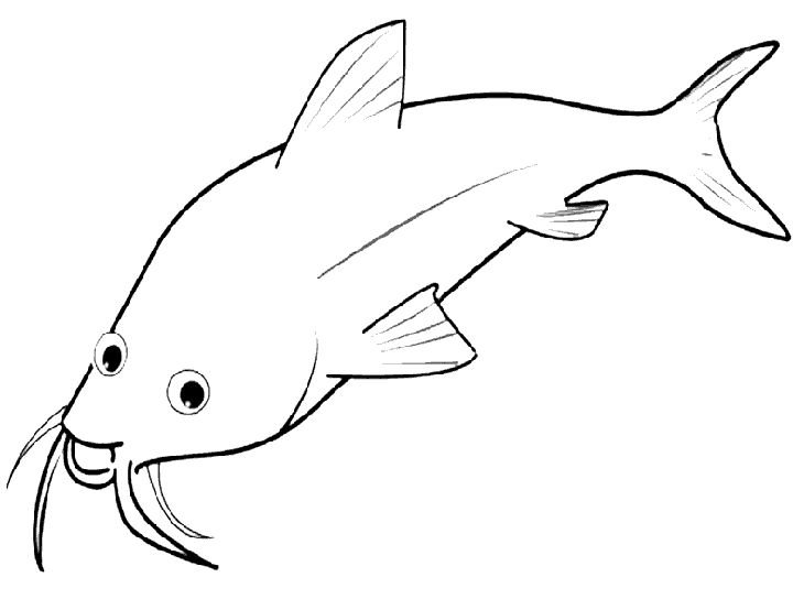 Рыба раскраска для детей