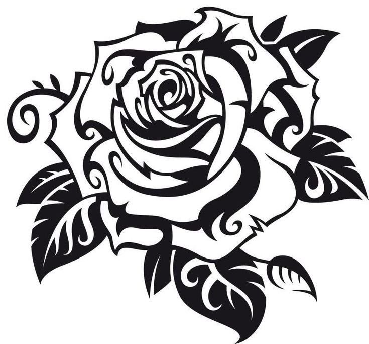 Трайбл роза