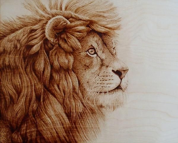 Лев для выжигания