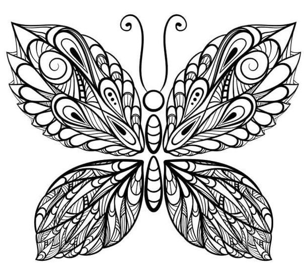 Бабочка трафарет для квиллинга