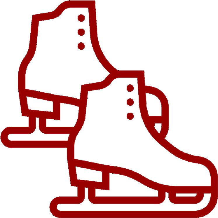 Коньки пиктограмма