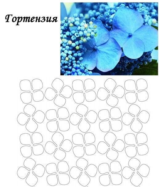 Лепесток гортензии шаблон
