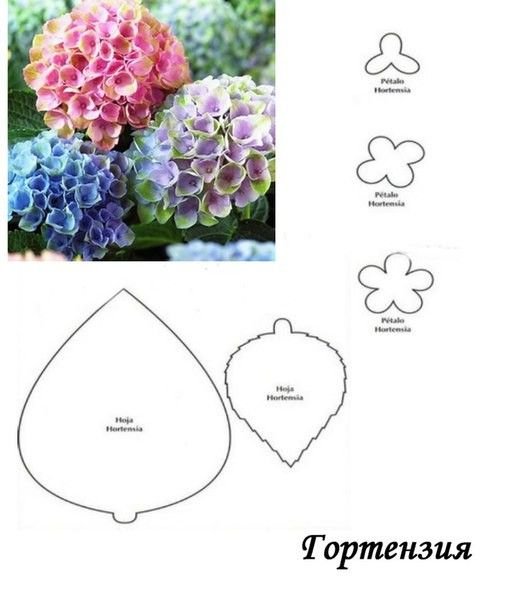 Шаблон гортензии из фоамирана