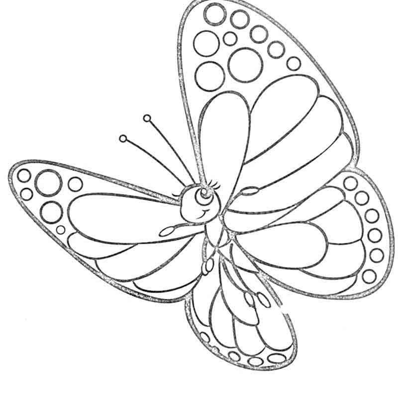 Раскраска "бабочки"