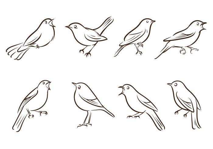 Птица контур