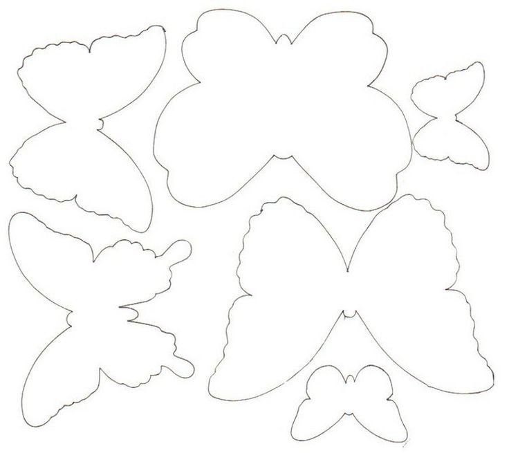 Трафареты бабочек для декора