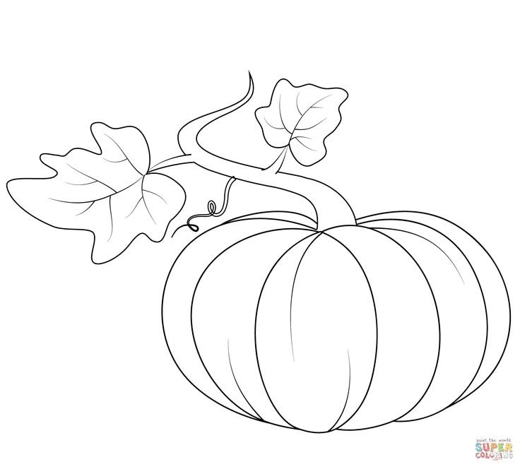 Тыква раскраска