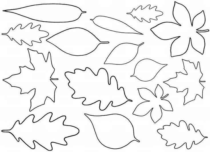 Лекало осенних листьев