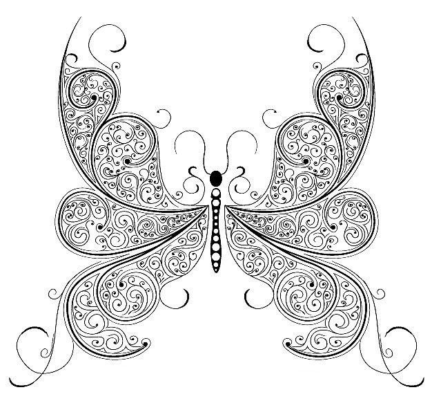 Узоры бабочки