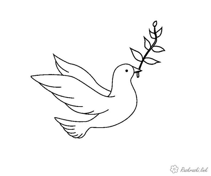 Голубь рисунок