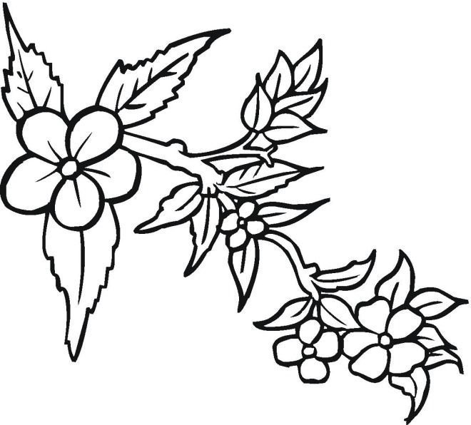 Трафарет "цветы"