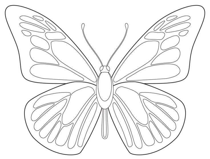 Раскраска "бабочки"