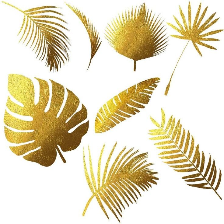 Тропические листья