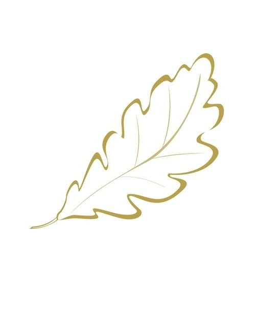 Дубовый лист контур