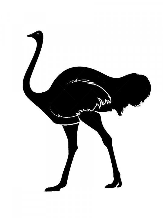 Страус трафарет