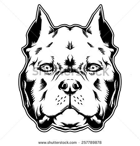 Тату американский булли