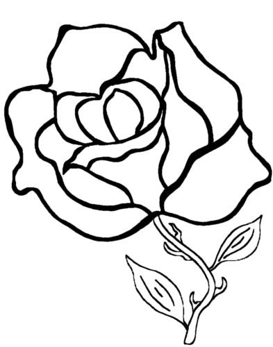 Раскраска роза цветок
