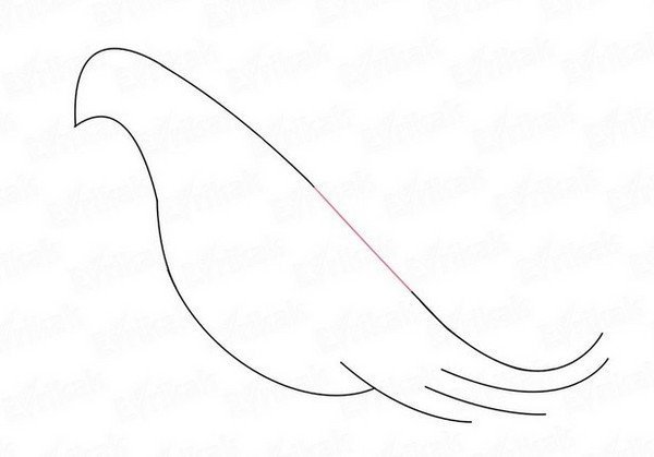 Туловище птицы шаблон