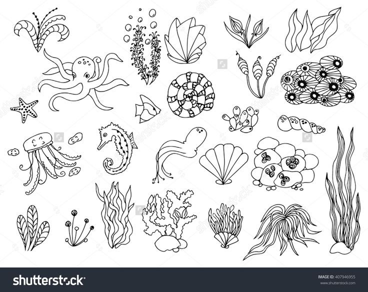 Подводные растения раскраска