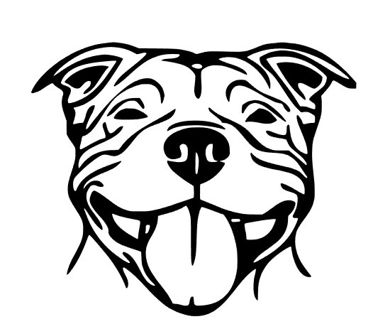 Американский стаффордширский терьер