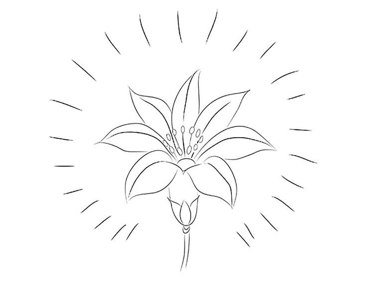 Аленький цветочек раскраска