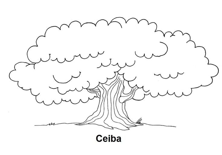 Дерево контур