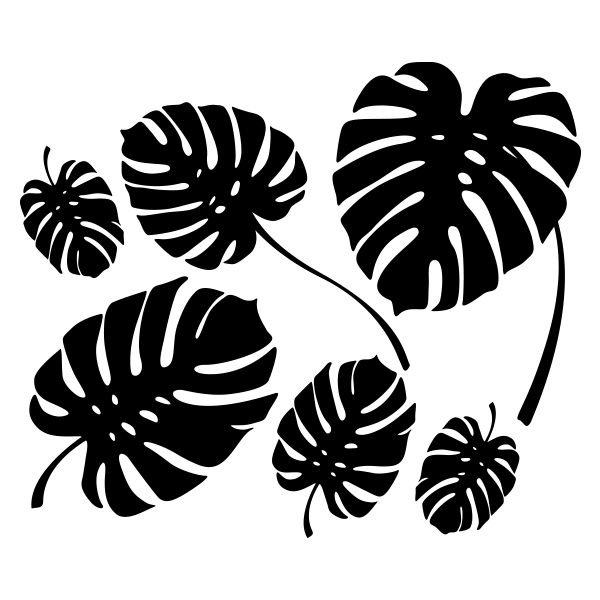 Лист монстеры вектор контур