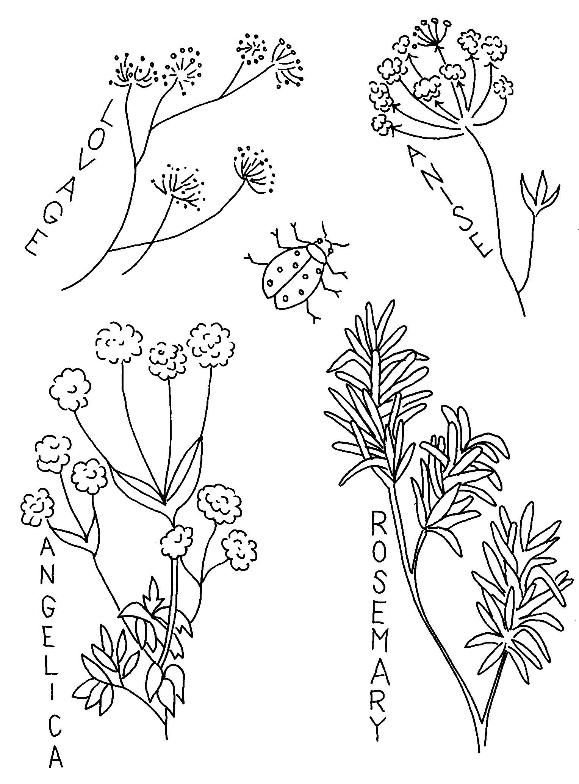 Трафарет полевых цветов для вышивки